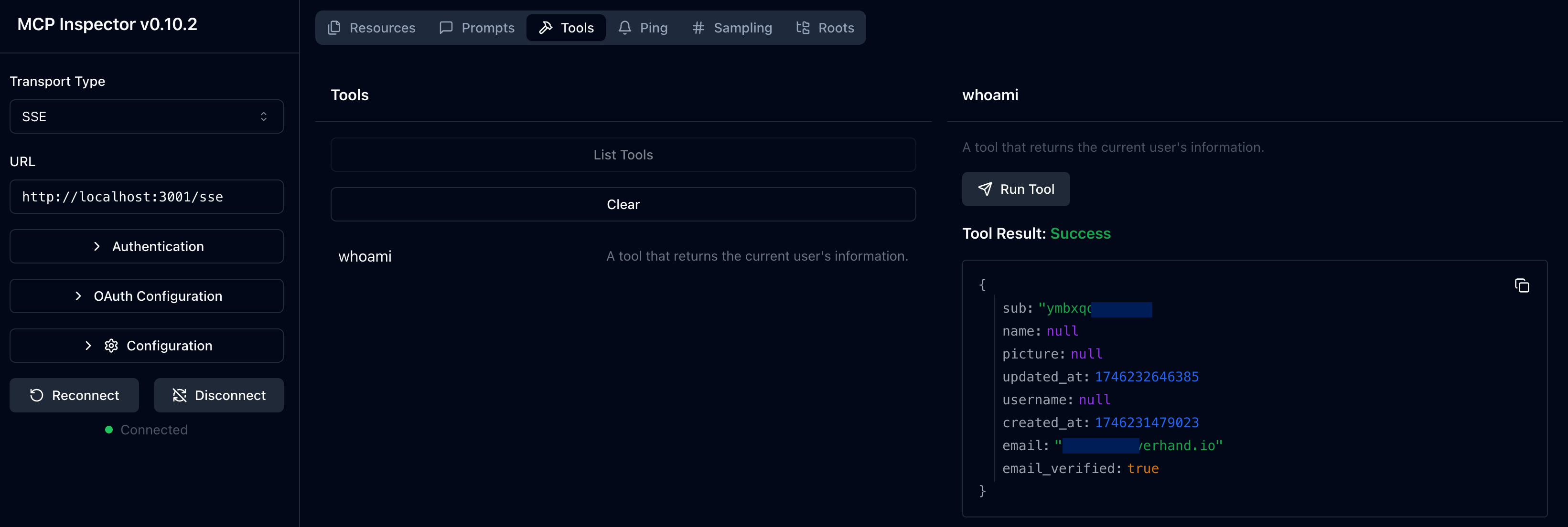 MCP 인스펙터 whoami 도구 결과